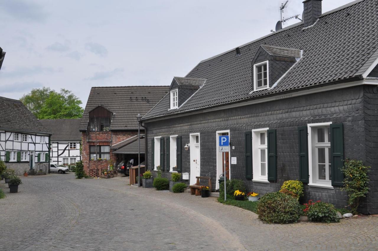 Sterner Obgruiten Haan Zewnętrze zdjęcie